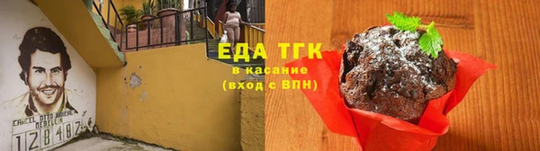 дмт Бородино