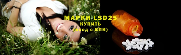 дмт Бородино