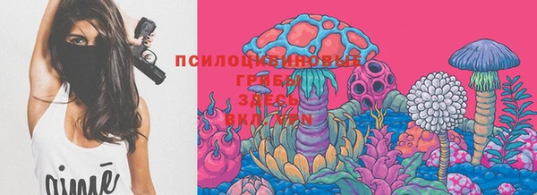 винт Богородицк