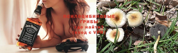 винт Богородицк